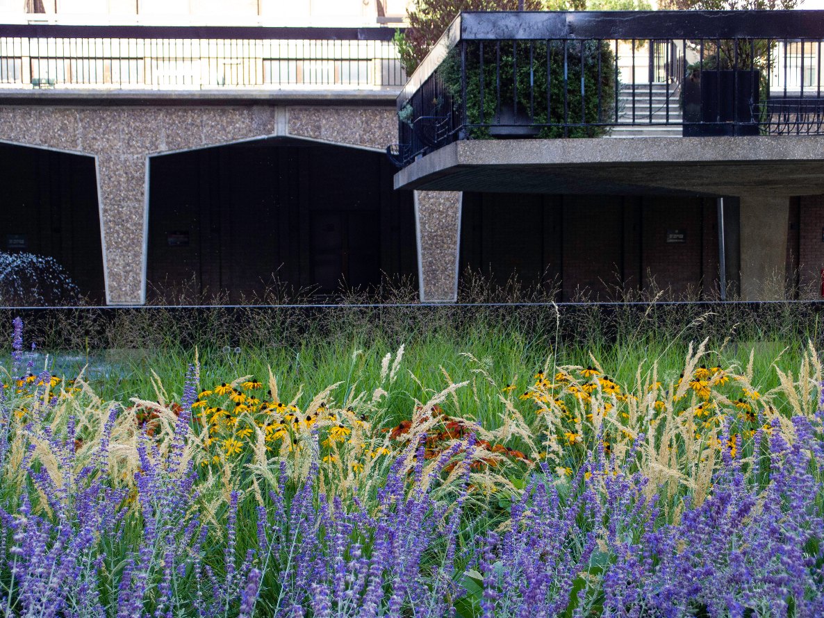Water Gardens, Hyde Park Estate