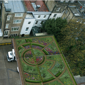roof garden design