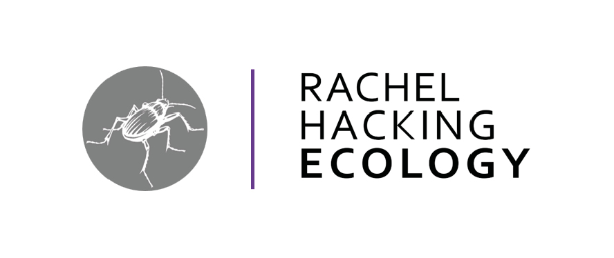 Clients and Partners