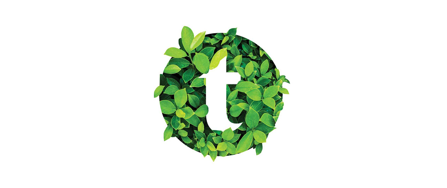 Clients and Partners