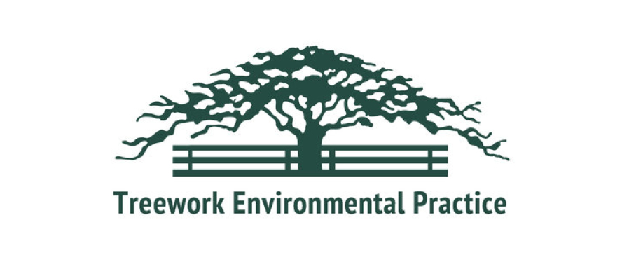 Clients and Partners