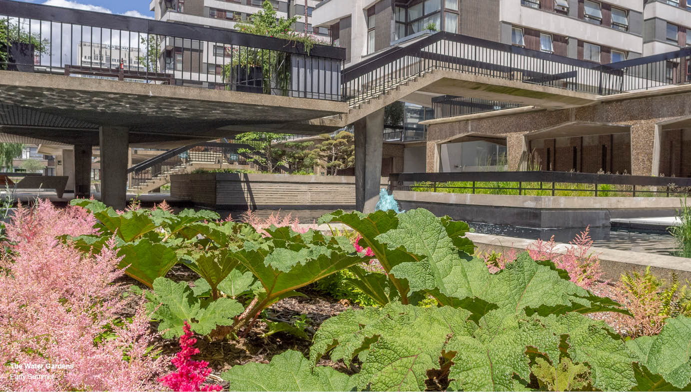 Brutalism and biodiversity