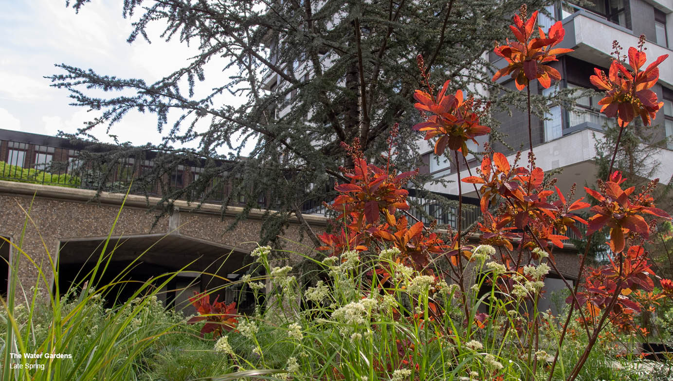 Brutalism and biodiversity