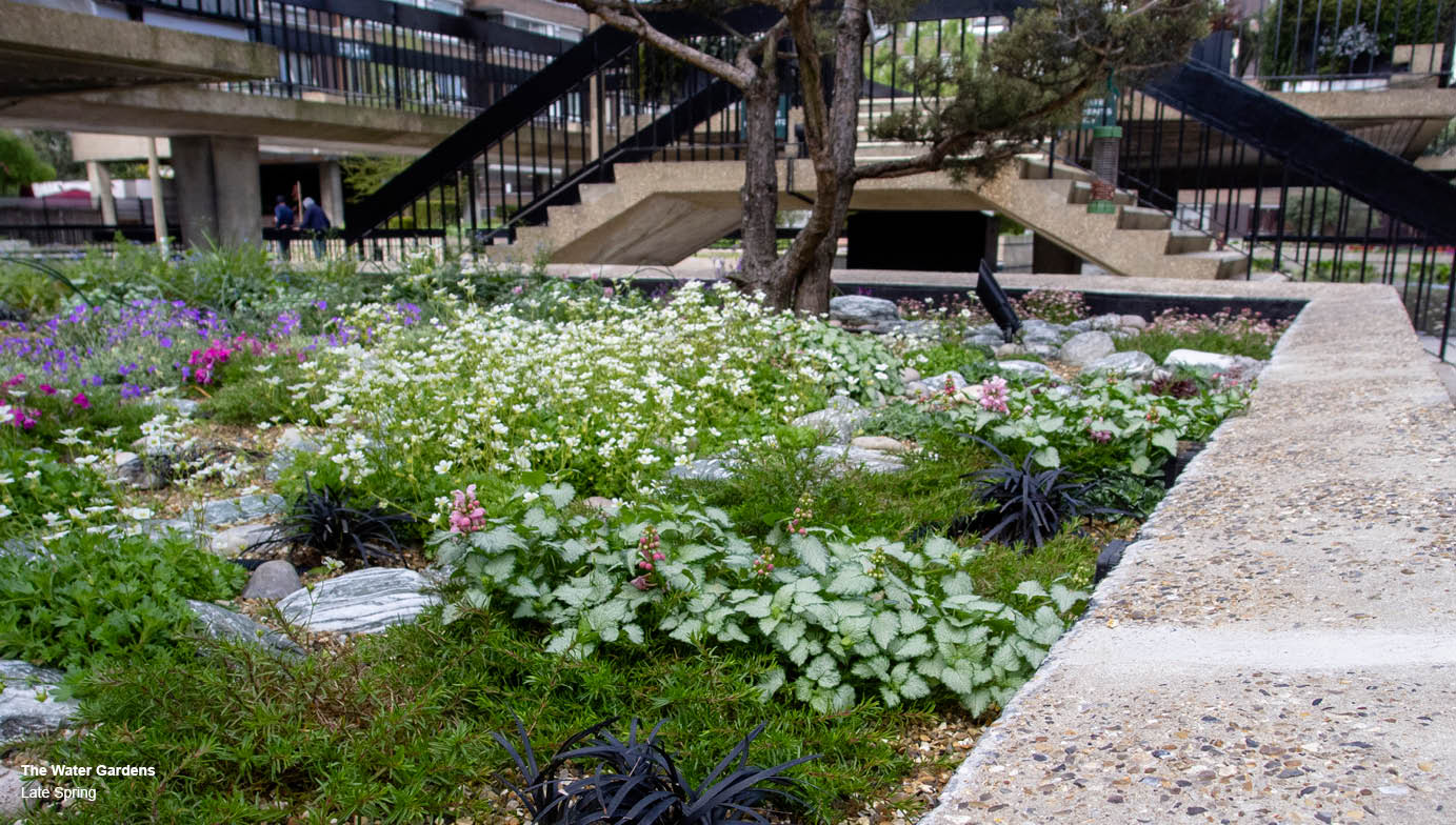 Brutalism and biodiversity