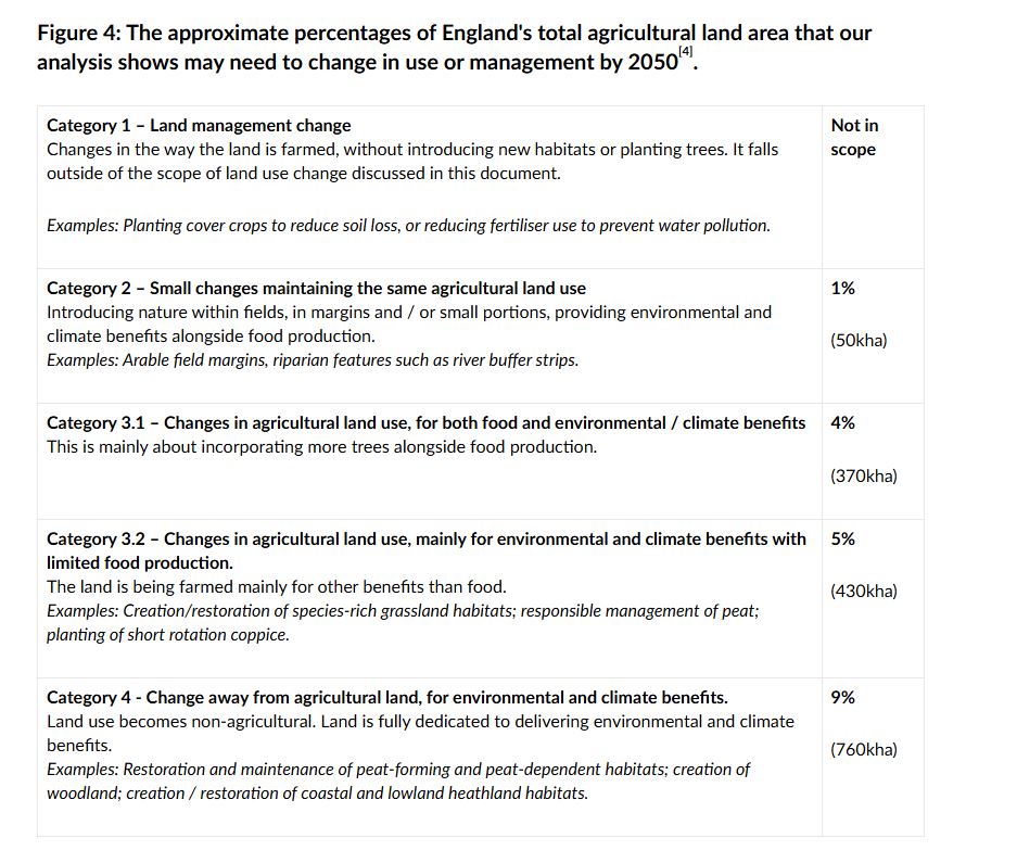 golden rules NPPF 2024