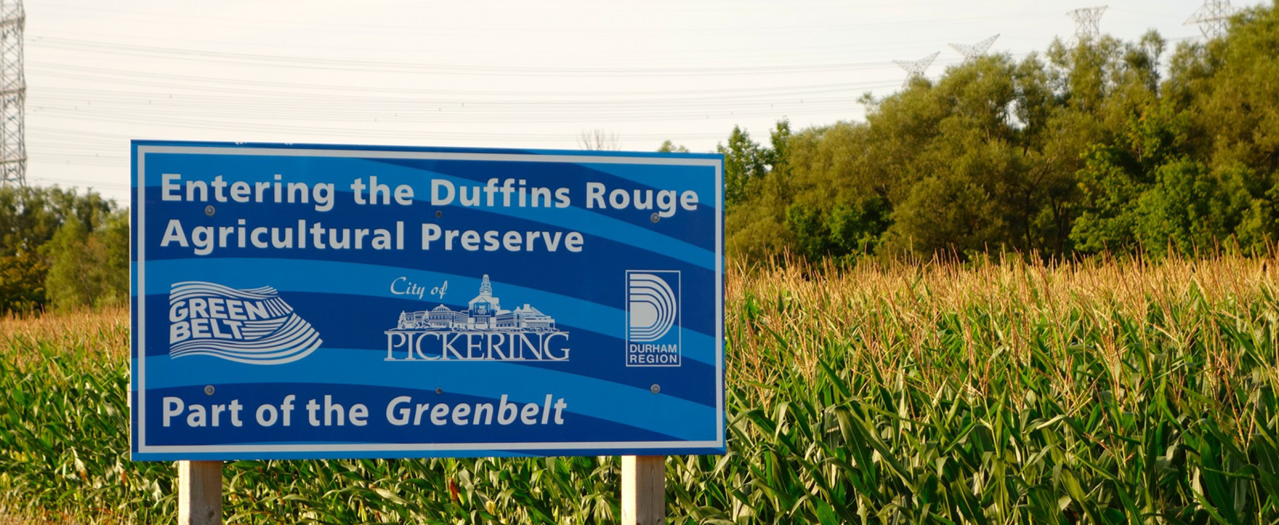 International Green Belt Policy